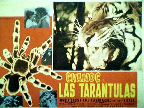 CHANOC EN LAS TARANTULAS